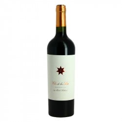 CLOS de LOS SIETE Vin rouge Argentin 75 cl