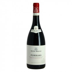 acheter SAINT ROMAIN Rouge Alain Gras Pinot Noir de Bourgogne