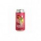 Tina Redlyle Gose fruit rouge vanille 44cl