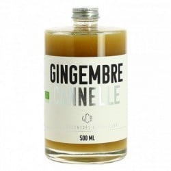 HOT concentré de Gingembre BIO à la Cannelle 50cl