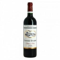 Château CHASSE SPLEEN 2020 MOULIS en MEDOC 75 cl