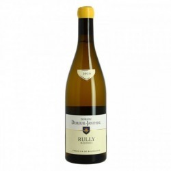 Domaine Dureuil Janthial Rully Vin Blanc du Maizières  2020 75 cl