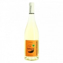 ORCHERE Anjou Blanc 1/2 Sec par domaine MUSSET ROULLIER 75cl