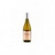 Morillon Blanc by Jeff Carrel IGP Aude 75 cl