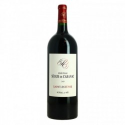 Château SEGUR de CABANAC Saint ESTEPHE 2020 en Magnum