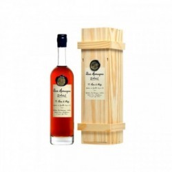 Delord Bas Armagnac 15 ANS D'AGE 70 cl 40°