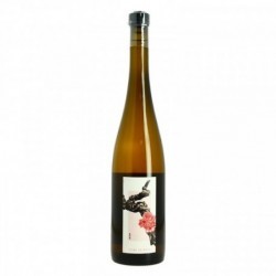 LA VIGNE EN ROSE 2021 Vin Blanc BIO